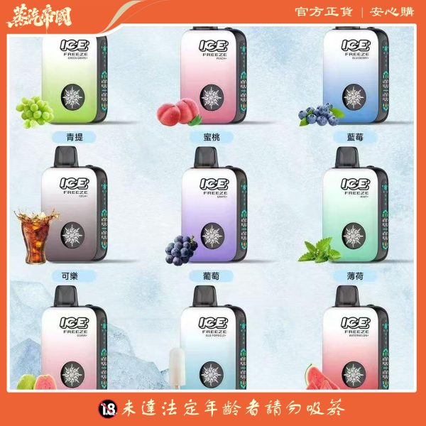 ICE FREEZE 10000 口 抛棄式一次性 四檔涼度調節 20ML煙油 台灣現貨