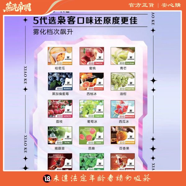 XIAOKE五代煙彈 霧化彈 適用Relx主機四五六代 五盒送主機