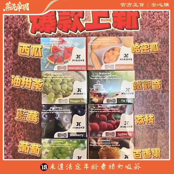 XIAOKE五代煙彈 霧化彈 適用Relx主機四五六代 五盒送主機